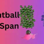 Paintball lifespan